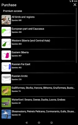 Russian Birds Songs android App screenshot 0