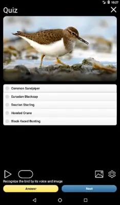 Russian Birds Songs android App screenshot 11