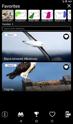 Russian Birds Songs android App screenshot 14