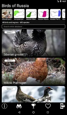 Russian Birds Songs android App screenshot 15