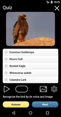 Russian Birds Songs android App screenshot 19