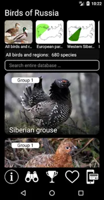 Russian Birds Songs android App screenshot 23