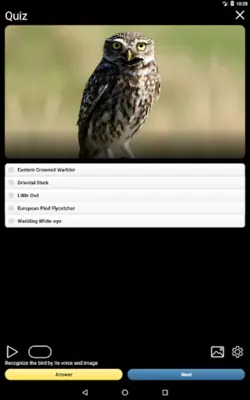 Russian Birds Songs android App screenshot 3