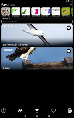 Russian Birds Songs android App screenshot 6